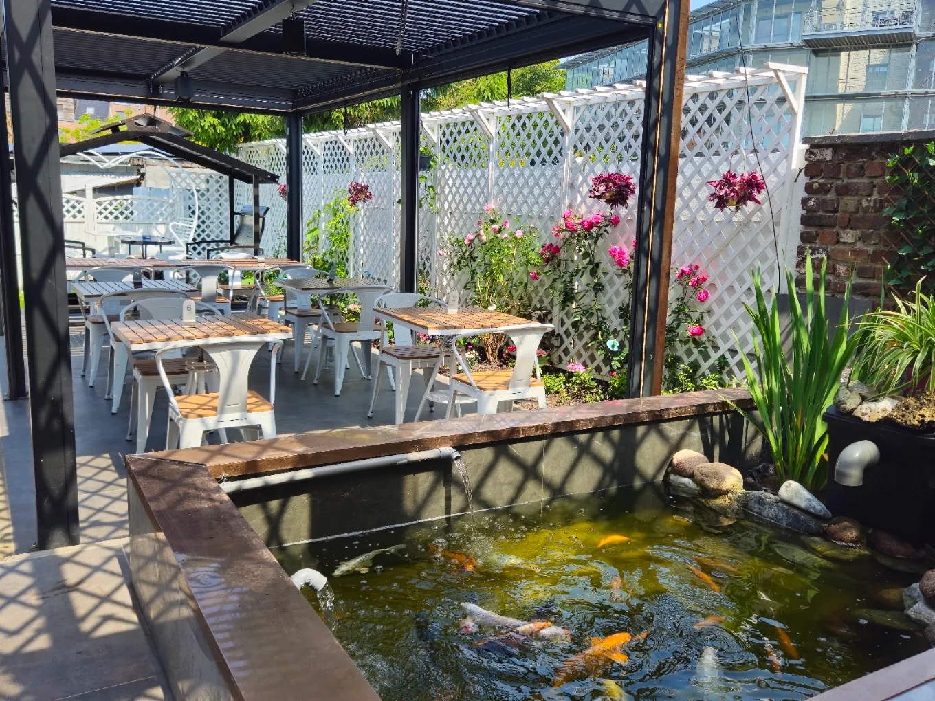 Terrasse et bassin à poissons